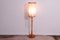 Vintage Scandinavian Single Floor Lamp, Czechoslovakia, 1970s 2