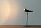 Lampada da tavolo Ara postmoderna di Philippe Starck per Flos, anni '80, Immagine 2