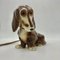 Dachshund Perfume Lamp in Porcelain from Heinz & Co., 1950s 1
