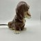 Dachshund Perfume Lamp in Porcelain from Heinz & Co., 1950s 2