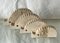 Italian Hedgehogs in Travertine attributed to Fratelli Mannelli, 1970s, Set of 4 1