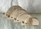 Italian Hedgehogs in Travertine attributed to Fratelli Mannelli, 1970s, Set of 4, Image 1