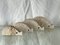 Italian Hedgehogs in Travertine attributed to Fratelli Mannelli, 1970s, Set of 4 4