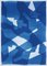 Gio Bellagio, Bodegón en tonos azules, 2023, Cianotipo, Imagen 1