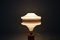 Mid-Century Modern Table Lamp in Pine and Acrylic, Sweden, 1970s 13