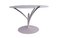 Acacia Model Table by Calligaris 3
