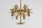 Lámpara de araña Venini Trilobi Mid-Century de cristal de Murano en ámbar, Italia, años 50, Imagen 19