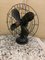 American Swivel Fan from Diehl, 1920s, Image 2