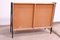 Mid-Century Bookshelf from Tatra, Former Czechoslovakia, 1960s 15