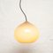 Cipola Pendant Lamp by Alessandro Pianon for Vistosi, 1960s 4