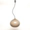 Cipola Pendant Lamp by Alessandro Pianon for Vistosi, 1960s 1