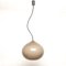 Cipola Pendant Lamp by Alessandro Pianon for Vistosi, 1960s, Image 1