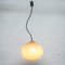 Cipola Pendant Lamp by Alessandro Pianon for Vistosi, 1960s 3