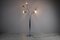 6-Light Floor Lamp by Goffredo Reggiani, 1960s 3