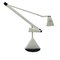 Vintage Table Lamp Zelig by Walter Monici for Lumina 1