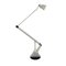 Vintage Table Lamp Zelig by Walter Monici for Lumina 8