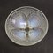 Large Art Deco Opalescent Shell Bowl by René Lalique, 1920s 4