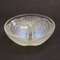 Large Art Deco Opalescent Shell Bowl by René Lalique, 1920s, Image 2