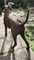 Estatua de pie grande de hierro fundido desgastado de un perro de caza en hierro fundido, años 50, Imagen 4