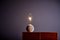 Lampada da tavolo con base in ceramica dipinta a mano di Kat & Roger, Immagine 2