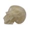 Cráneo de cristal del siglo XX, Imagen 2