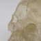 Cráneo de cristal del siglo XX, Imagen 9