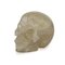 Cráneo de cristal del siglo XX, Imagen 1