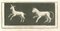 Vincenzo Campana, Pompejanisches Fresko mit Tieren, Radierung, 18. Jh. 1