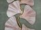 Murano Art Glass and Brass Pink Color Wall Light, 1990 3