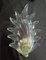 Murano Wandlampe aus transparentem Glas & Messing, 1990 1