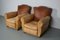 Set of French Cognac Moustache Back Leather Club Chairs, 1940s 2