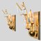 Crystal Gilded Brass Sconces from Stillkronen, 1975, Image 13