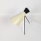 Mid-Century Tripod Table Lamp by Josef Hůrka for Napako, 1950s, Image 2