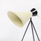 Mid-Century Tripod Table Lamp by Josef Hůrka for Napako, 1950s, Image 6