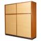 Grande Armoire Moderne Mid-Century par Dieter Waeckerlin, 1960s 1