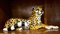 Vintage Gepard aus Keramik von Barotti, Italien, 1960er 4