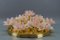 Italian 6-Light Flush Mount in Brass with Light Pastel Pink Murano Glass Flowers, 1970s 13