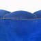 Butacas italianas Shell de tela azul eléctrico y patas de madera, años 50. Juego de 2, Imagen 17