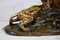 Combat de Tigres de bronce de E. Drouot, década de 1890, Imagen 17