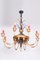 Empire Chandelier in Carved Pear, Steel & Gold Leaves, Austria, 1800s 1