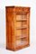 Biedermeier Display Bookcase, Walnut, Czech, 1830s 1