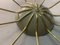 Lámpara de araña Sputnik Spider Ufo de vidrio opalino y latón con 12 brazos, años 50, Imagen 11