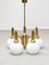 Mid-Century Italian Brass and Opaline Chandelier, Image 16