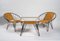 Czech Metal and Rattan Armchairs with Glass and Metal Table, 1960, Set of 2 1