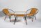 Czech Metal and Rattan Armchairs with Glass and Metal Table, 1960, Set of 2, Image 1