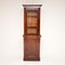 Victorian Slim Cabinet / Bookcase, 1860s 4