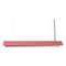 Medium Misalliance Ral Pink Suspended Light by Lexavala 1