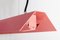 Medium Misalliance Ral Pink Suspended Light by Lexavala 3