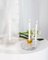 Atoll Big Transparent Candleholder from Pulpo 3