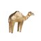 Escultura de camello de Pulpo, Imagen 3